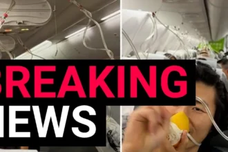 Japan Airlines Boeing 737 Rapid Descent Incident