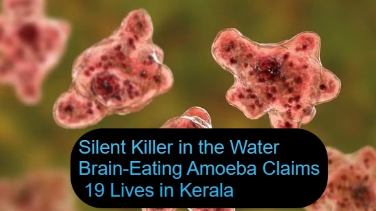Brain-Eating Amoeba Outbreak in Kerala