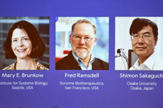 Nobel Prize in Medicine 2025